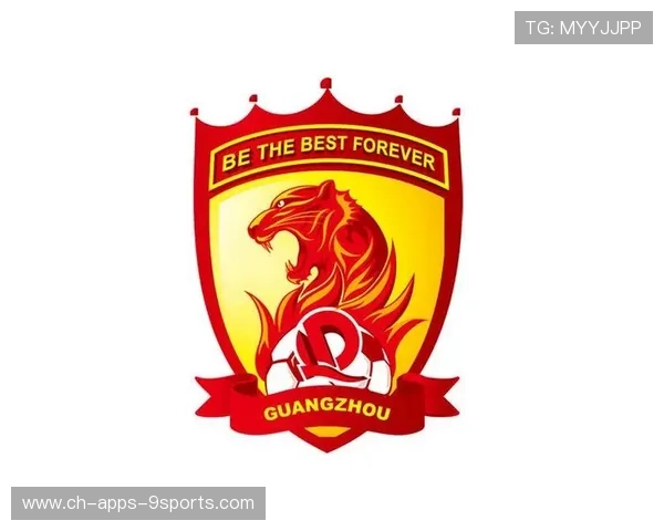 申花商业化推进获外界认可，俱乐部财务更健康