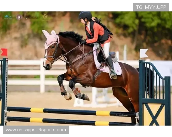 马术市场化管理让赛事更具商业吸引力与观赏性