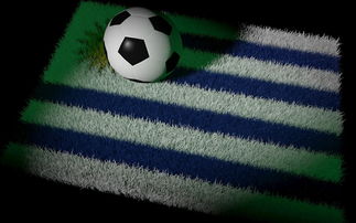 九游体育平台官网-国足主帅研究新阵型适应对手,国足对手主帅辞职